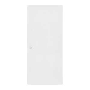 Puerta de Acero Lisa